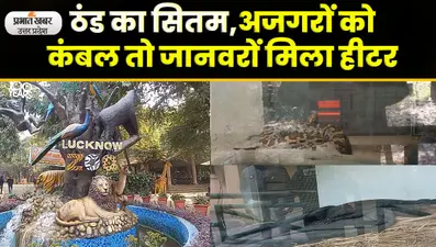 Lucknow zoo : सर्दी से पहले जानवरों को बचाने की ऐसे की गई है तैयारी, शेर – चीता और चिड़िया के लिए खास इंतजाम