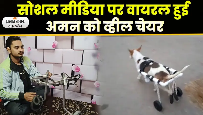 Agra News : अमन की तकनीक से दिव्यांग जानवरों को मिले पैर