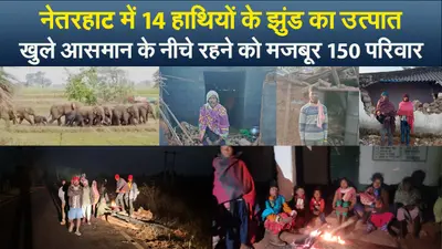 Video : नेतरहाट में हाथियों का उत्पात, खुले आसमान के नीचे रहने को मजबूर 150 परिवार