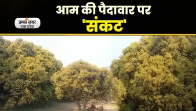 Surprise Inspection of Sanjay Nishad: दफ्तर में कर्मचारियों को तलाशते रहे मंत्री संजय निषाद, video