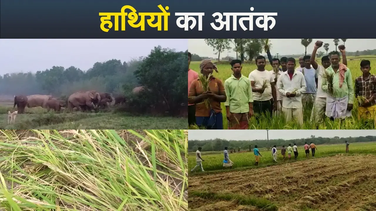 Video : लोबिन ने अपनी सरकार को फिर घेरा, कहा जो 1932 खतियान की बात कहेगा-सत्ता में रहेगा