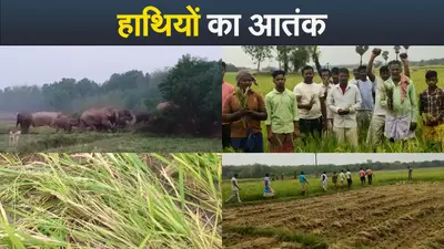 Video : CMO के प्रधान आप्त सचिव अभिषेक प्रसाद पिंटू के सेक्रेटरी के घर छापा