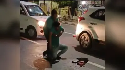 स्कूटी से कूदा डॉग ट्रक की चपेट में आया, मालिक हाईवे पर ही दहाड़ मार-मारकर रोने लगा, वीडियो हुआ वायरल