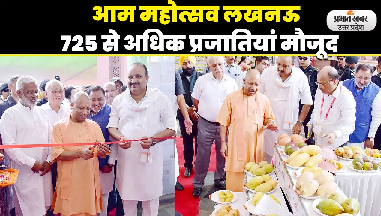 Aligarh Parrot News: पंखे से कटी तोते की चोंच को दो घंटे सर्जरी कर जोड़ा, मिठ्ठू को मिला नया जीवन