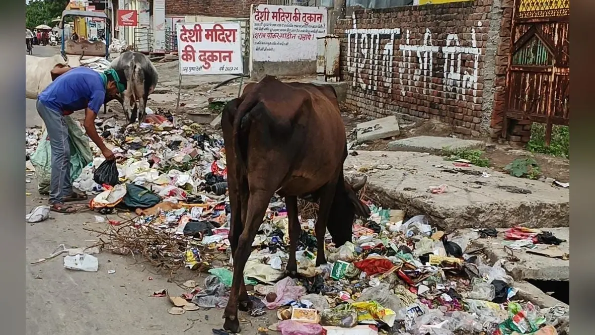 UP News : सफाई कर्मचारियों की हड़ताल, आगरा में बदबू और गंदगी से लोगों का हुआ बुरा हाल