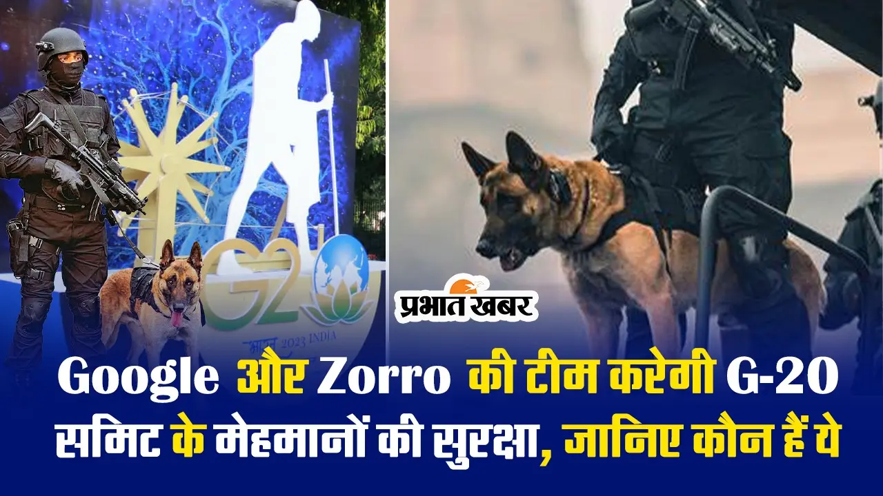 Google और Zorro की टीम करेगी G-20 समिट के मेहमानों की सुरक्षा, जानिए कौन हैं ये और क्या है इनका काम