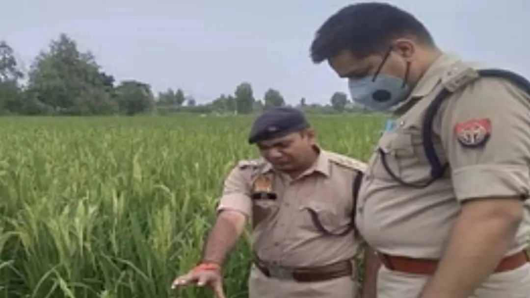 बरेली में युवक की गला दबाकर हत्या, खेत में मिला शव, जांच में जुटी पुलिस, जानें पूरा मामला