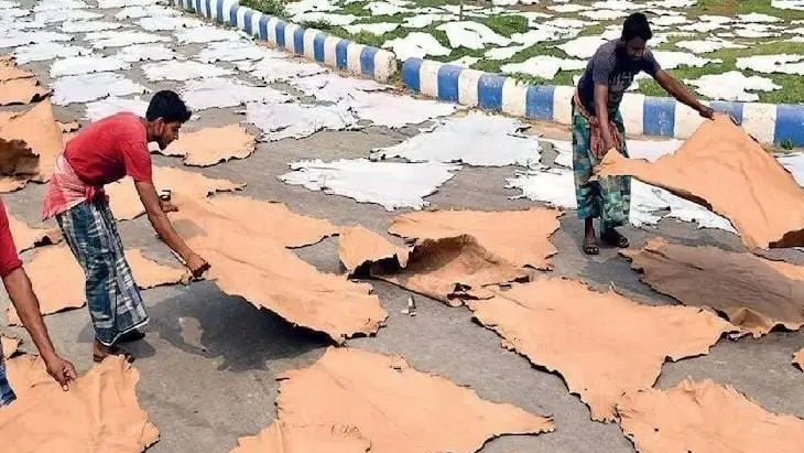 Kanpur News: अवैध तरीके से खुले में चमड़ा सुखाना पड़ा भारी, शासन ने 4 टेनरियों को भेजा नोटिस