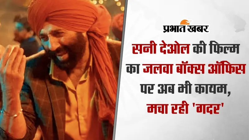 Gadar 2: सनी देओल की फिल्म का जलवा बॉक्स ऑफिस पर अब भी कायम, मचा रही ‘गदर’, जानें टोटल कलेक्शन