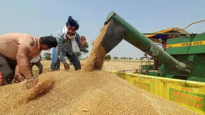 खाद्य सुरक्षा के लिए जरूरी है गेहूं आयात