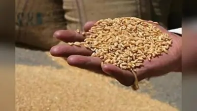 सराहनीय है मुफ्त राशन योजना का विस्तार