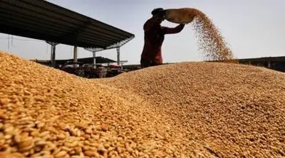 गेहूं की कीमतों को नियंत्रित करने के लिए सरकार ने लागू की स्टॉक लिमिट, निर्यात पर रोक जारी