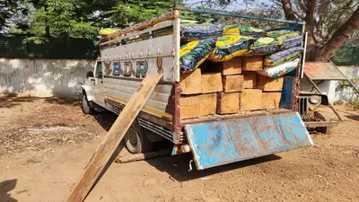 Hardoi: स्कूल की लकड़ी कटवाकर प्रिंसिपल खुद निकल पड़े बेचने, वन विभाग ने रंगे हाथों पकड़ माल किया जब्त