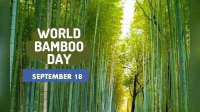 World Bamboo Day 2022: आज मनाया जा रहा है विश्व बैंबू दिवस, जानें इसका हमारे जीवन में महत्व