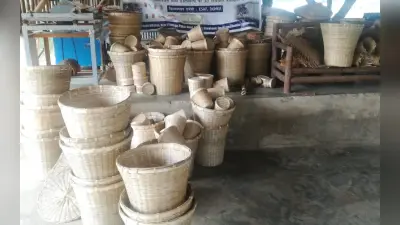 बंगाल और ओड़िशा में बड़े पैमाने पर बांस की सप्लाई करता है झारखंड का चाकुलिया