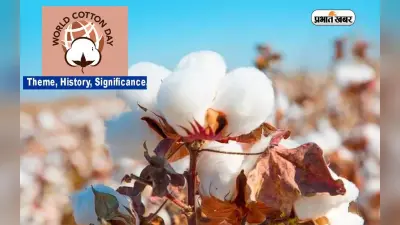 World Cotton Day 2022: आज है विश्व कपास दिवस, जानें क्यों खास है ये दिन