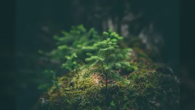 प्रकृति से बेहतर तालमेल मूलमंत्र हो