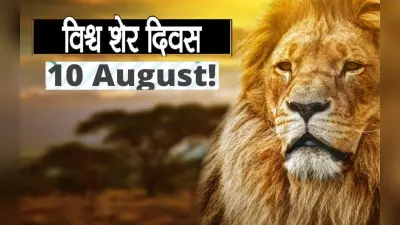 World Lion Day 2022: आज मनाया जा रहा है विश्व शेर दिवस, जाने इसके महत्व और इतिहास