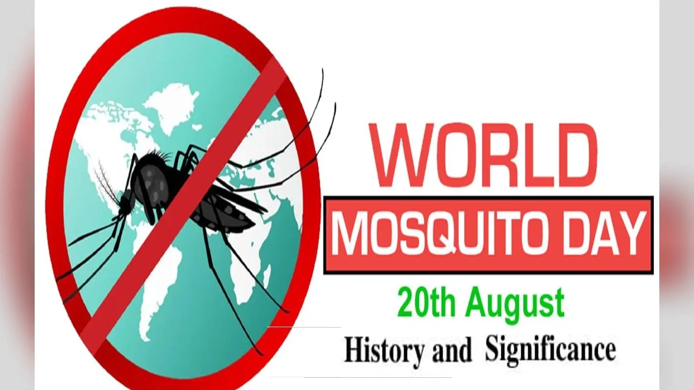 World Mosquito Day 2022: आज है विश्व मच्छर दिवस, जानिए इस दिन का इतिहास और महत्व