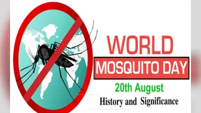 World Mosquito Day 2022: आज है विश्व मच्छर दिवस, जानिए इस दिन का इतिहास और महत्व