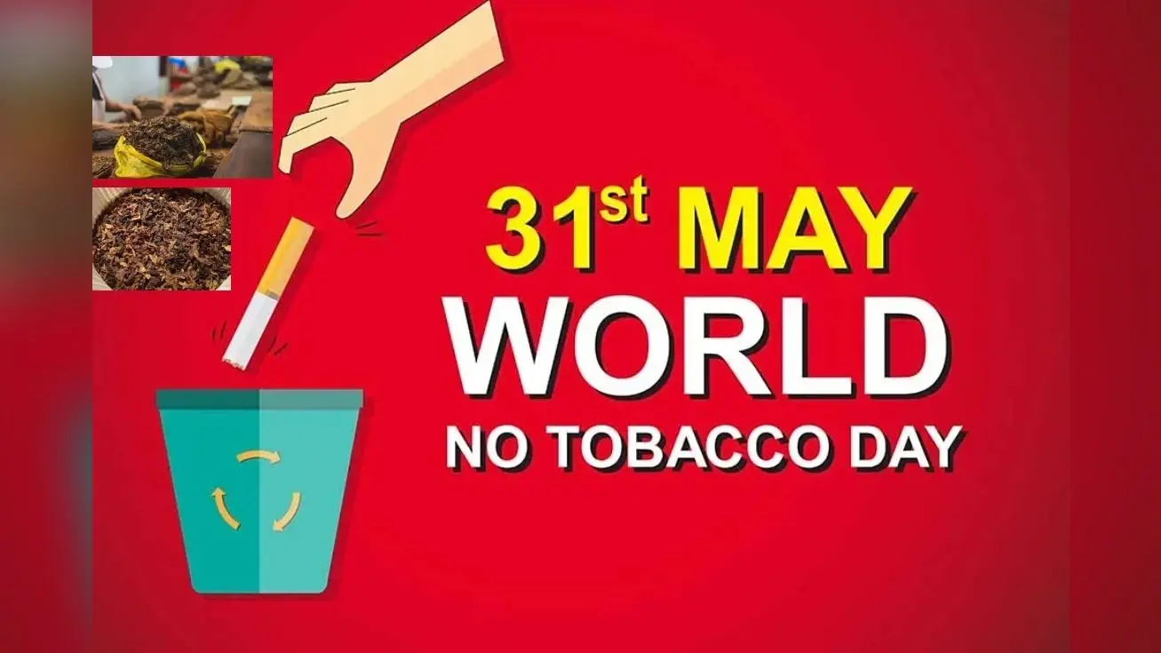 World No Tobacco Day 2023: भारत में 267 मिलियन Adult करते हैं तंबाकू का इस्तेमाल, ये टोबैको है अधिक पॉपुलर