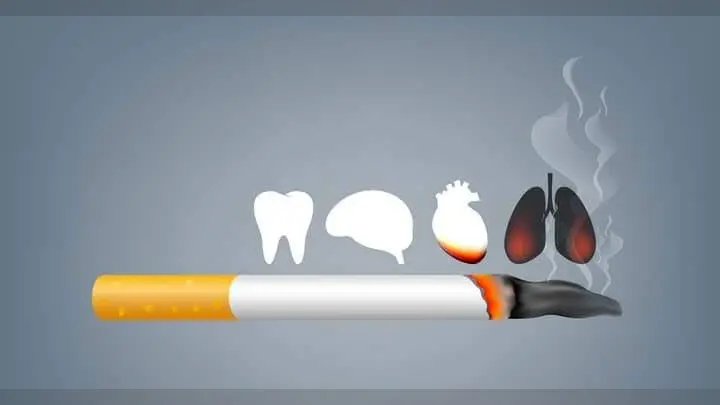 World No-Tobacco Day 2024: 31 मई को क्यों मनाया जाता है विश्व तंबाकू दिवस, जानें क्या है इसका महत्व और थीम