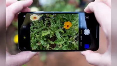 World Photography Day 2022: स्मार्ट फोन यूजर्स ऐसे क्लिक करें बेहतरीन फोटो, यहां है आसान टिप्स और ट्रिक्स