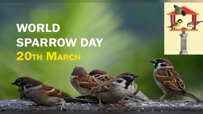 World Sparrow Day 2022: विश्व गौरैया दिवस आज, जानें इसका उद्देश्य और इतिहास