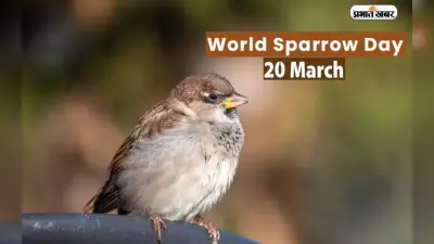 World Sparrow Day 2023: विश्व गौरैया दिवस आज, जानें इतिहास और क्या है इस दिन का महत्व