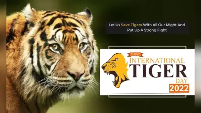 World Tiger Day 2022: आज है विश्व टाइगर दिवस, यहां पढ़ें टाइगर डे से जुड़े महत्वपूर्ण तथ्य