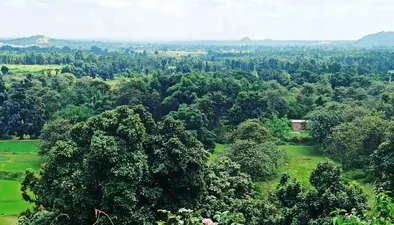 जैव संपदा संरक्षण और जनजातीय समुदाय