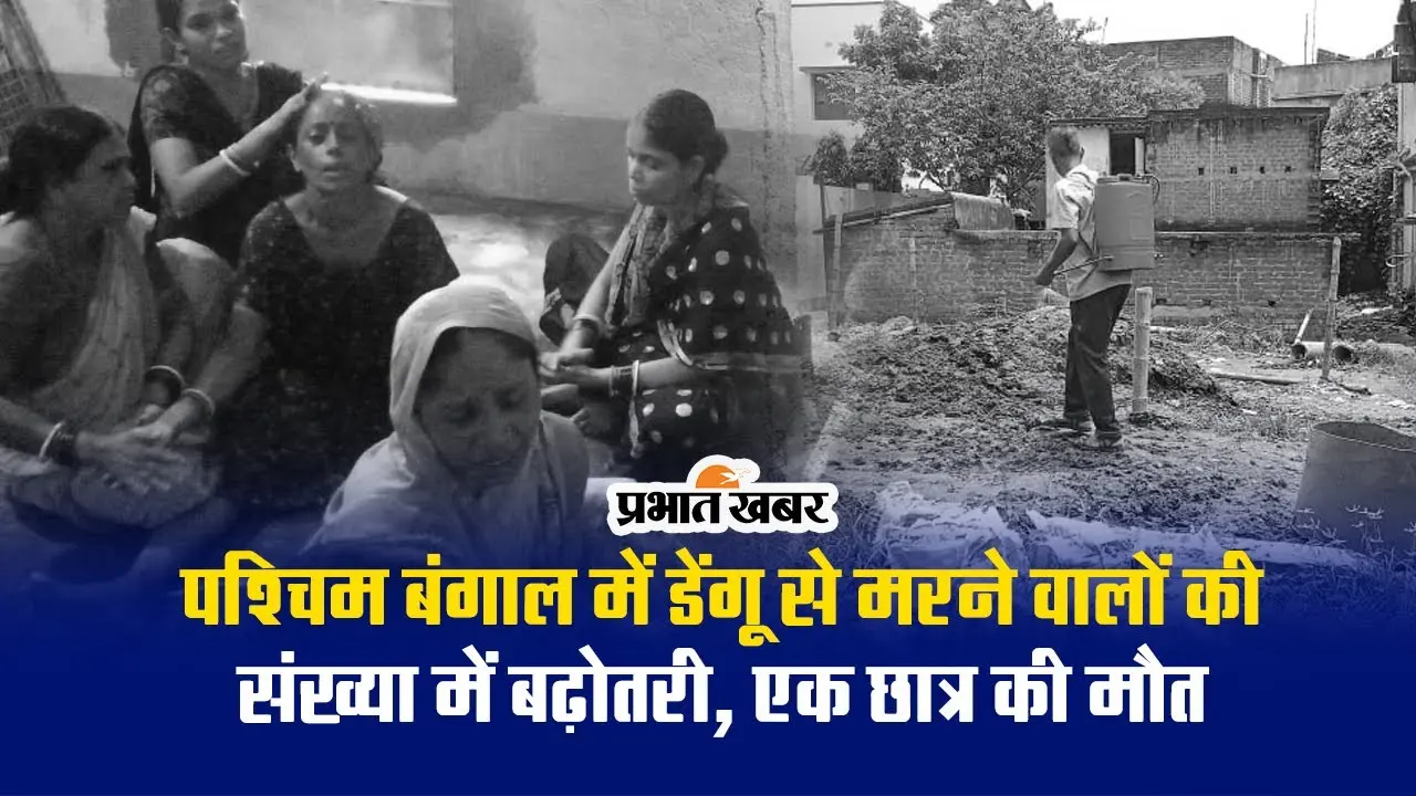 आसनसोल: डेंगू का कहर जारी, एक छात्र की मौत, कई बीमार