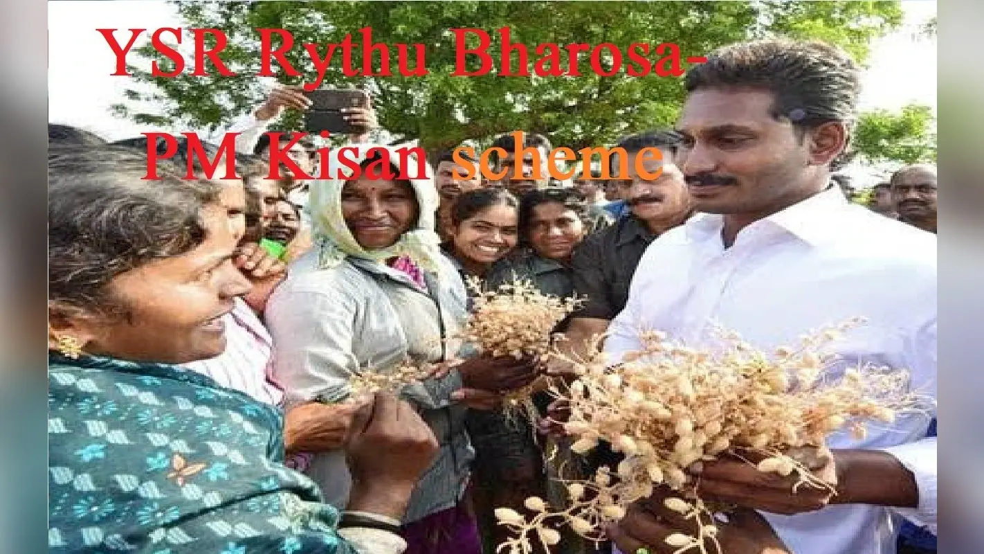PM Kisan Scheme: इस राज्य के 52 लाख किसानों को मिली पहली किस्त, बैंक खातों में जमा हुए 5500 रुपये