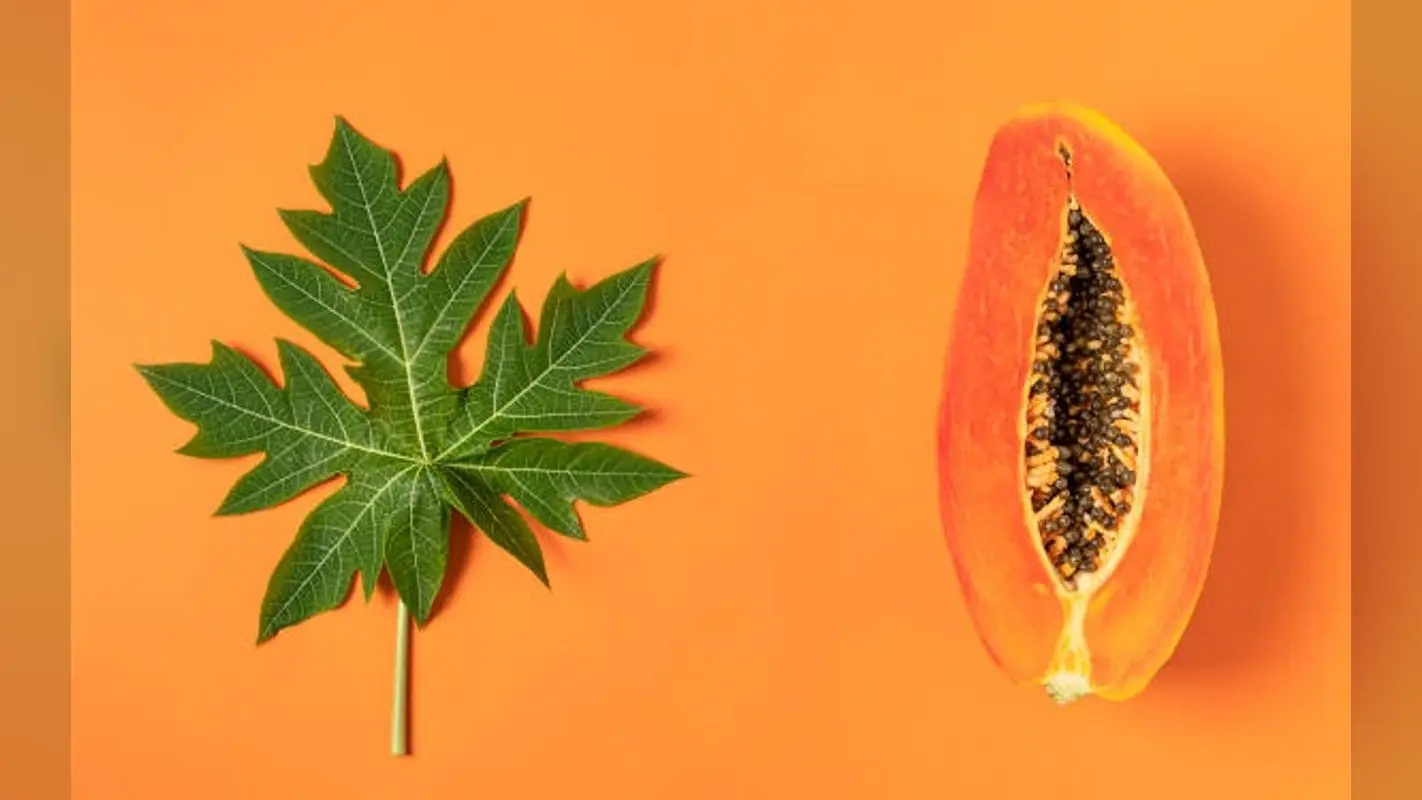 Benefits of Eating Papaya in Hindi: ग्लोइंग स्किन से लेकर शारीरिक क्षमता बढ़ाने के लिए फायदेमंद है पपीता