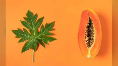 Benefits of Eating Papaya in Hindi: ग्लोइंग स्किन से लेकर शारीरिक क्षमता बढ़ाने के लिए फायदेमंद है पपीता