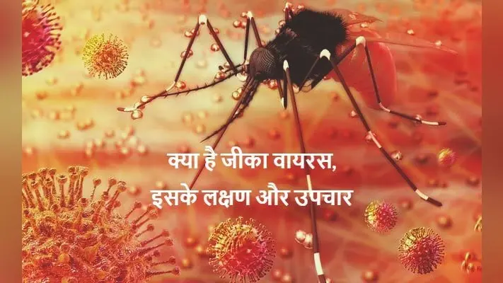 Zika Virus Symptoms: जीका वायरस कितना खतरनाक? जानें कैसे करता है संक्रमित, क्या है इसके लक्षण व बचाव के उपाय