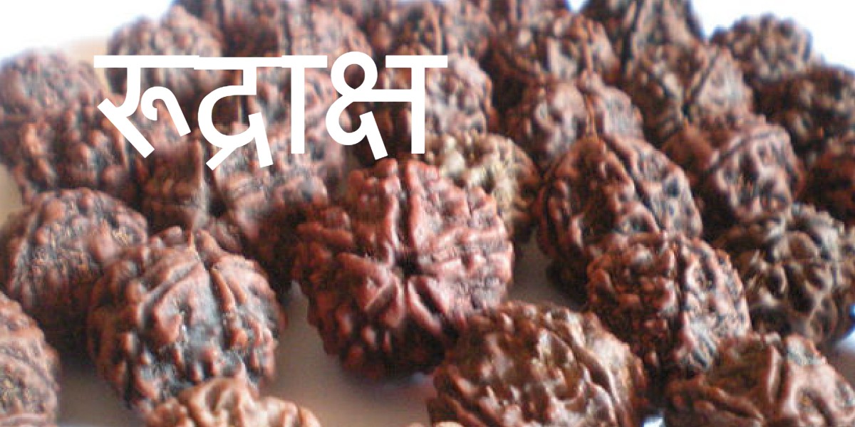 रुद्राक्ष पहनने से चेहरे पर चमक आती है, आत्मविश्वास बढ़ता है, जानें इसके फायदे