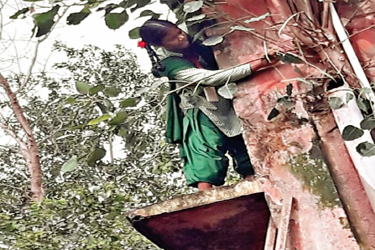 लोहरदगा में छात्राओं के जीवन से खिलवाड़, दीवार पर चढ़ाकर कटवाया पौधा