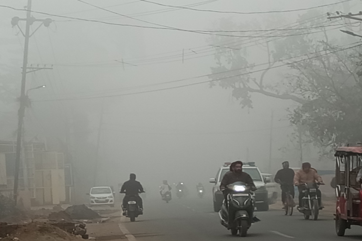 हजारीबाग: ठंड और कोहरे से फिलहाल राहत नहीं, दिन में भी सताएगी कनकनी, धूप रहेगी हल्की