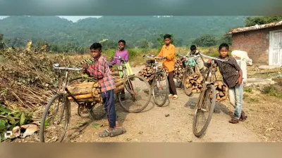 कैसे संवरेगा बच्चों का भविष्य? घर की माली हालत सुधारने के लिए जलावन की लकड़ी बेचने को हैं मजबूर