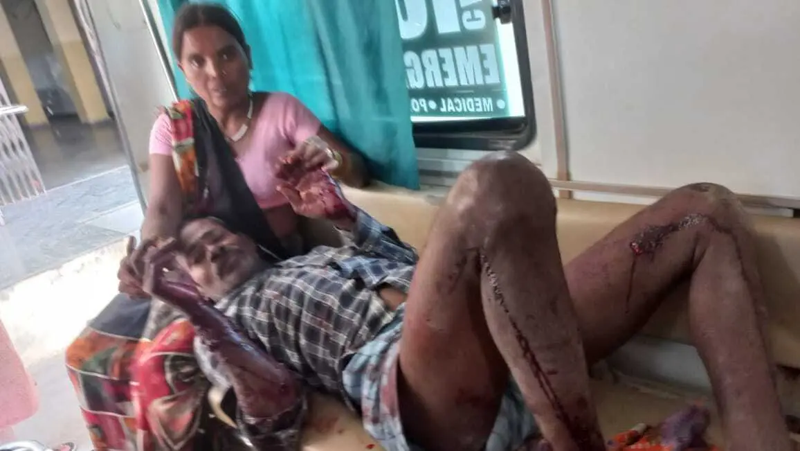 आगरा में लकड़बग्घों ने किया गांव वालों पर हमला, एक बच्ची हुई लापता फिर गुस्साई भीड़ ने लिया बदला