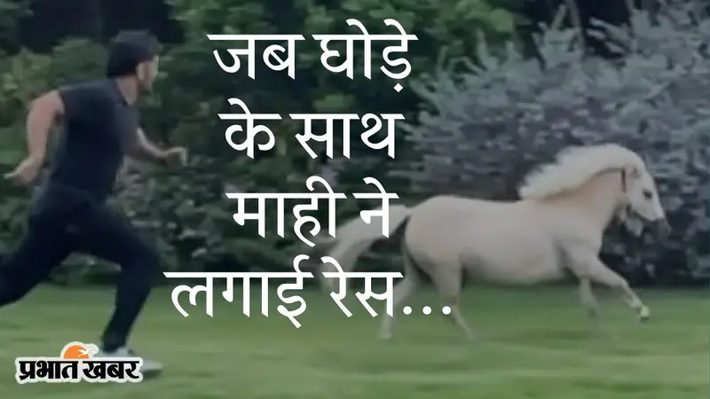 घोड़े के साथ टीम इंडिया के पूर्व कैप्टन महेंद्र सिंह धौनी की रेस, सोशल मीडिया पर वीडियो वायरल