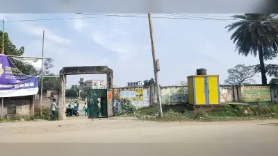 पश्चिमी सिंहभूम : जिला व नगर प्रशासन की अनदेखी से बदहाल हुआ पोड़ाहाट स्टेडियम, बना मवेशियों का अड्डा