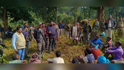 झारखंड : गांव बसाने के लिए सारंडा में काट डाले 500 से अधिक पेड़, वन विभाग और पुलिस ने लोगों को खदेड़ा