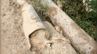 रविदास जयंती पर काशी में उमड़ा आस्था का जनसैलाब, आम आदमी से लेकर सीएम तक सभी भक्ति में डूबे