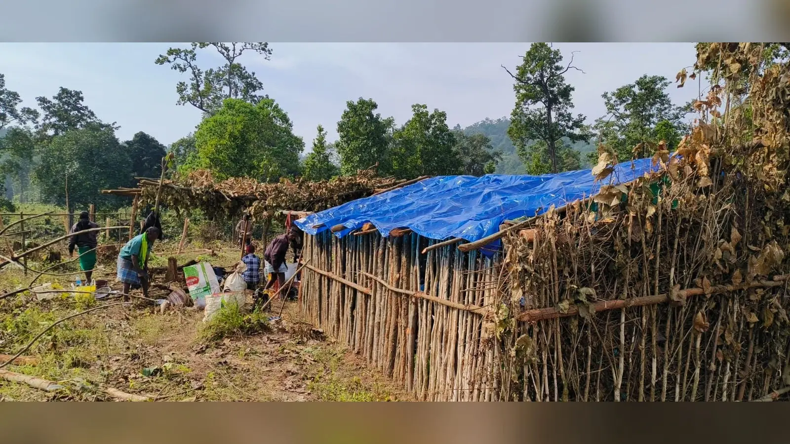 पश्चिमी सिंहभूम : जंगल काटने के मामले में मुख्य साजिशकर्ता समेत 20 से अधिक पर मामला दर्ज