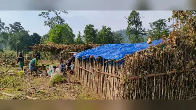 पश्चिमी सिंहभूम : जंगल काटने के मामले में मुख्य साजिशकर्ता समेत 20 से अधिक पर मामला दर्ज