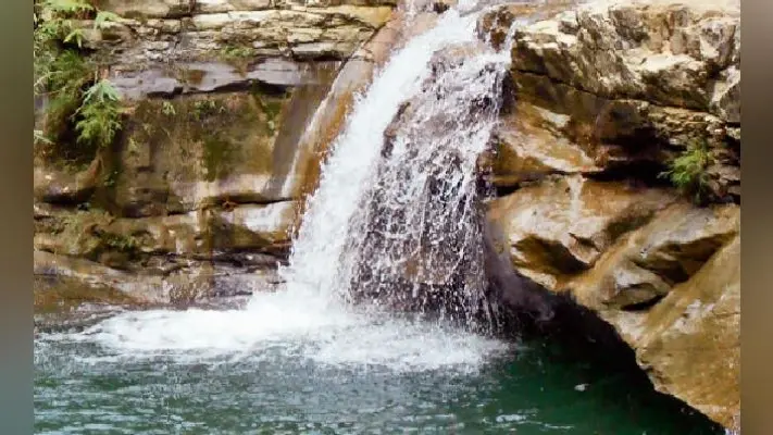 पटना : बरसात शुरू होते ही पर्यटकों के लिए बंद हो गया वीटीआर