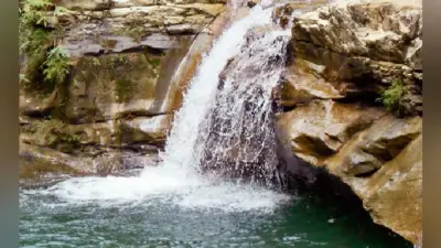 पटना : बरसात शुरू होते ही पर्यटकों के लिए बंद हो गया वीटीआर