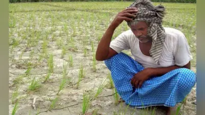 पटना : बाढ़ के बदले अब सूखे से निबटने की करनी होगी तैयारी 31 जुलाई के बाद होगा आकलन